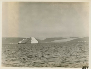 Image: Glaciers and iceberg